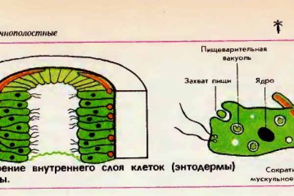 Кракен оф